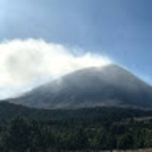 Meet your Posher, Frank